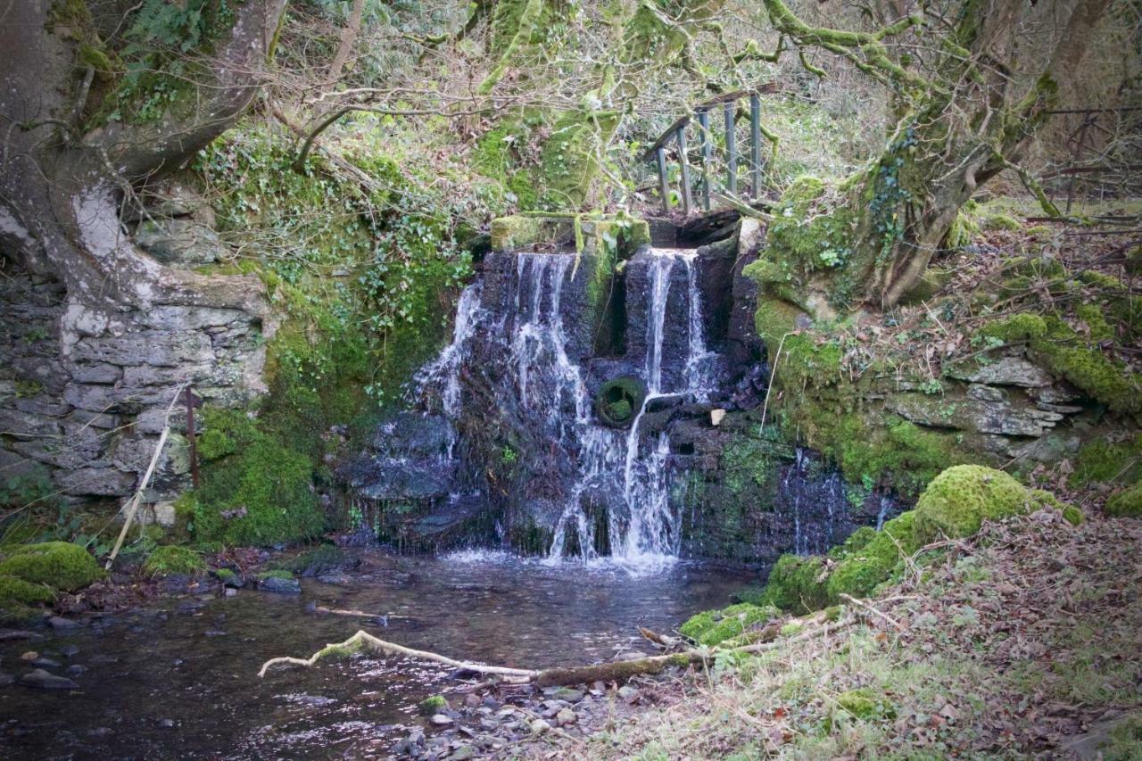 Waterfall Cottage ลอนเซสตัน ภายนอก รูปภาพ
